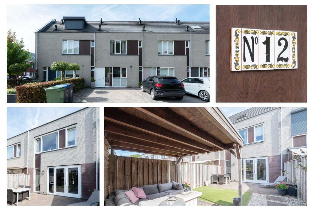 Foto 2 van Steenuil 12