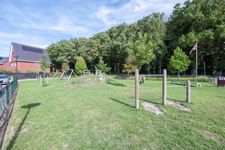 Foto 4 van Steenuil 12