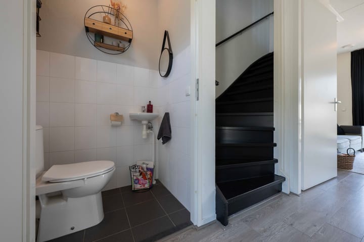 Foto 6 van Steenuil 12