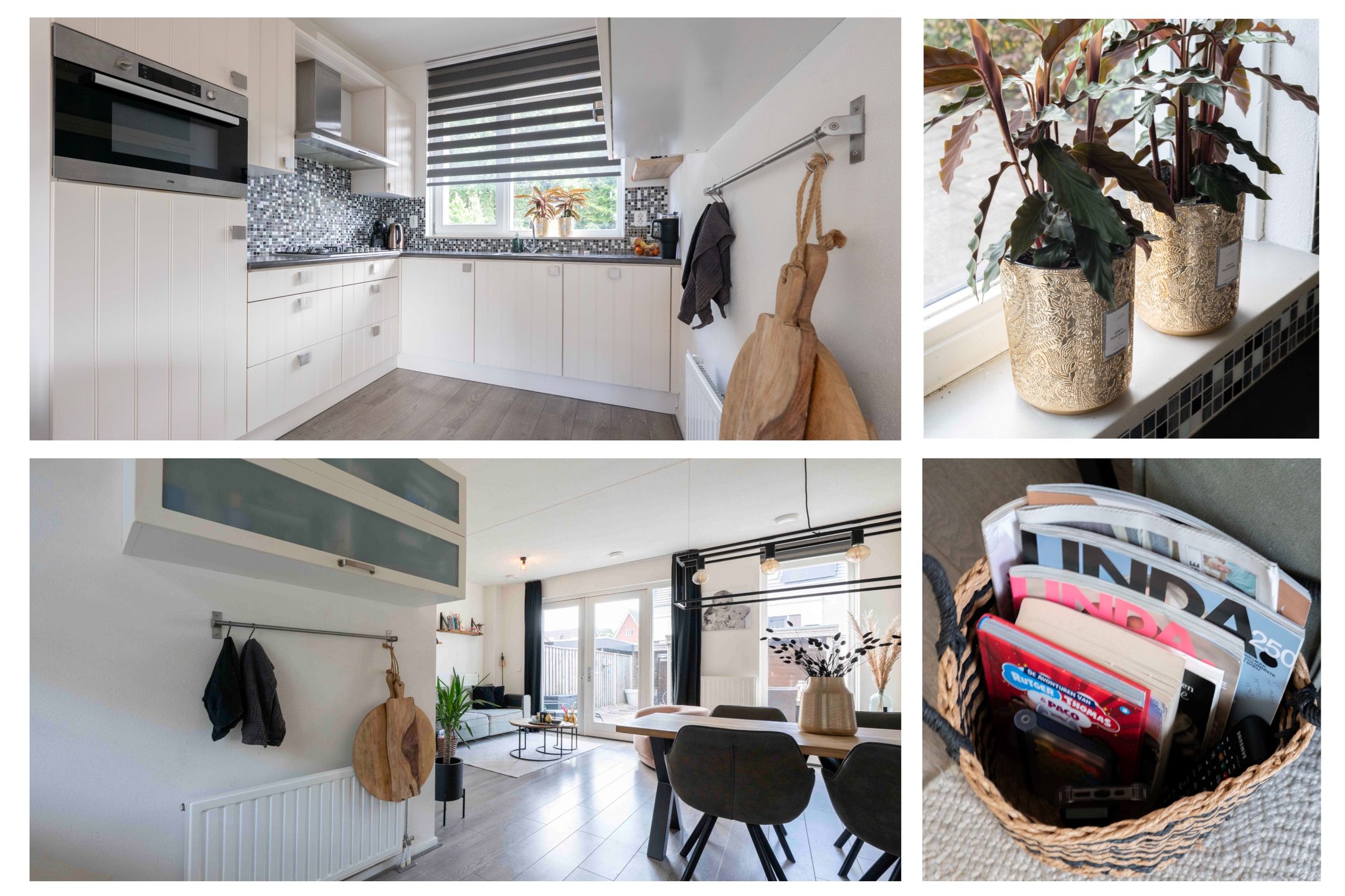 Foto 12 van Steenuil 12