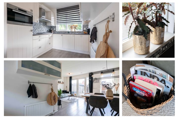 Foto 12 van Steenuil 12