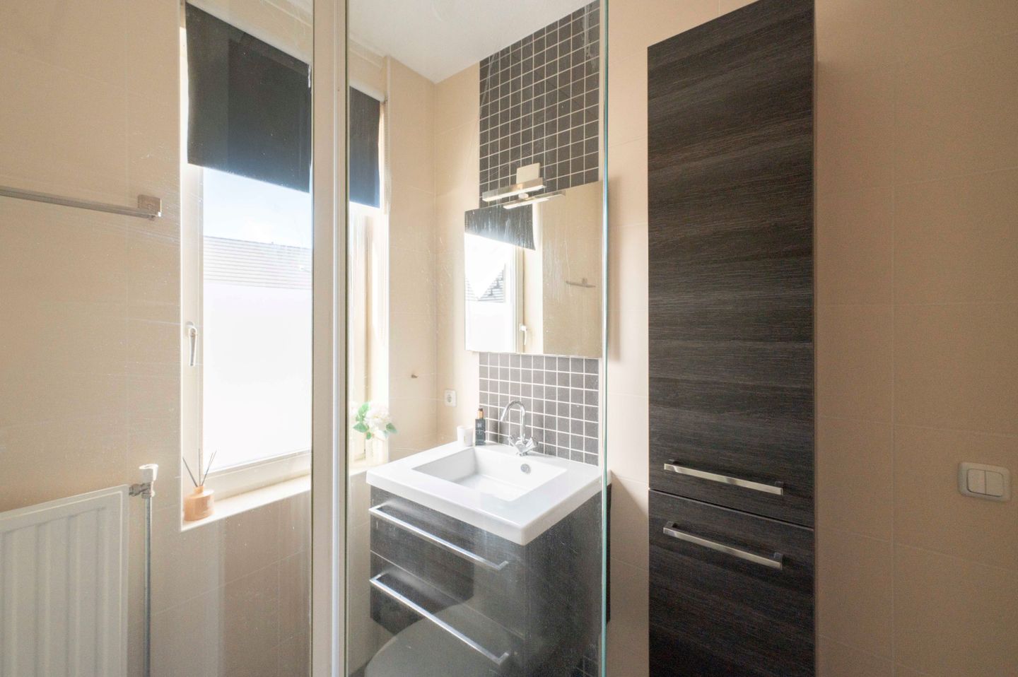 Foto 29 van Steenuil 12