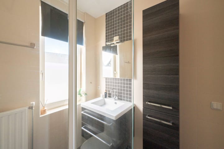 Foto 29 van Steenuil 12