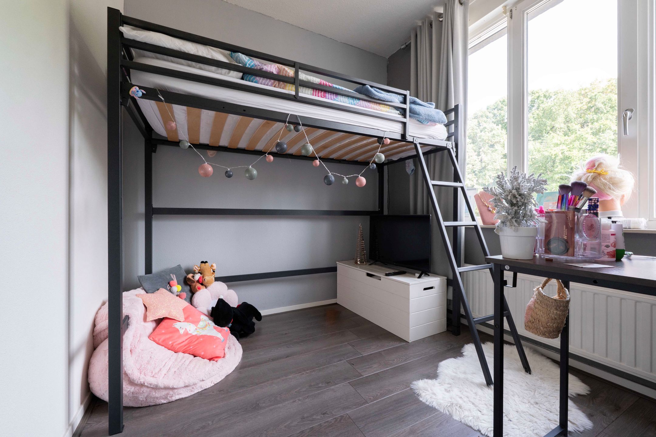 Foto 30 van Steenuil 12