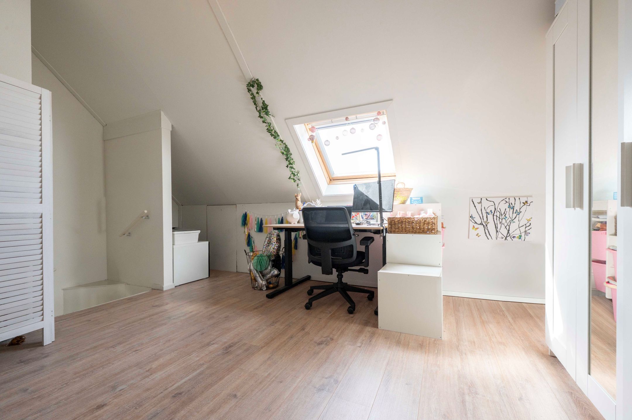 Foto 33 van Steenuil 12