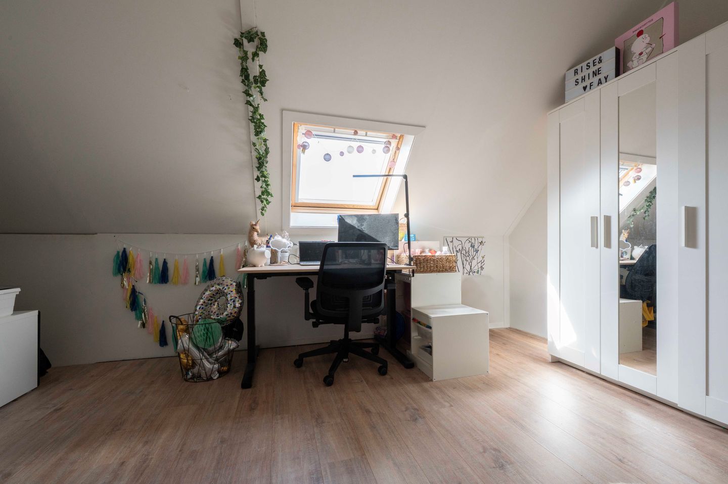 Foto 35 van Steenuil 12