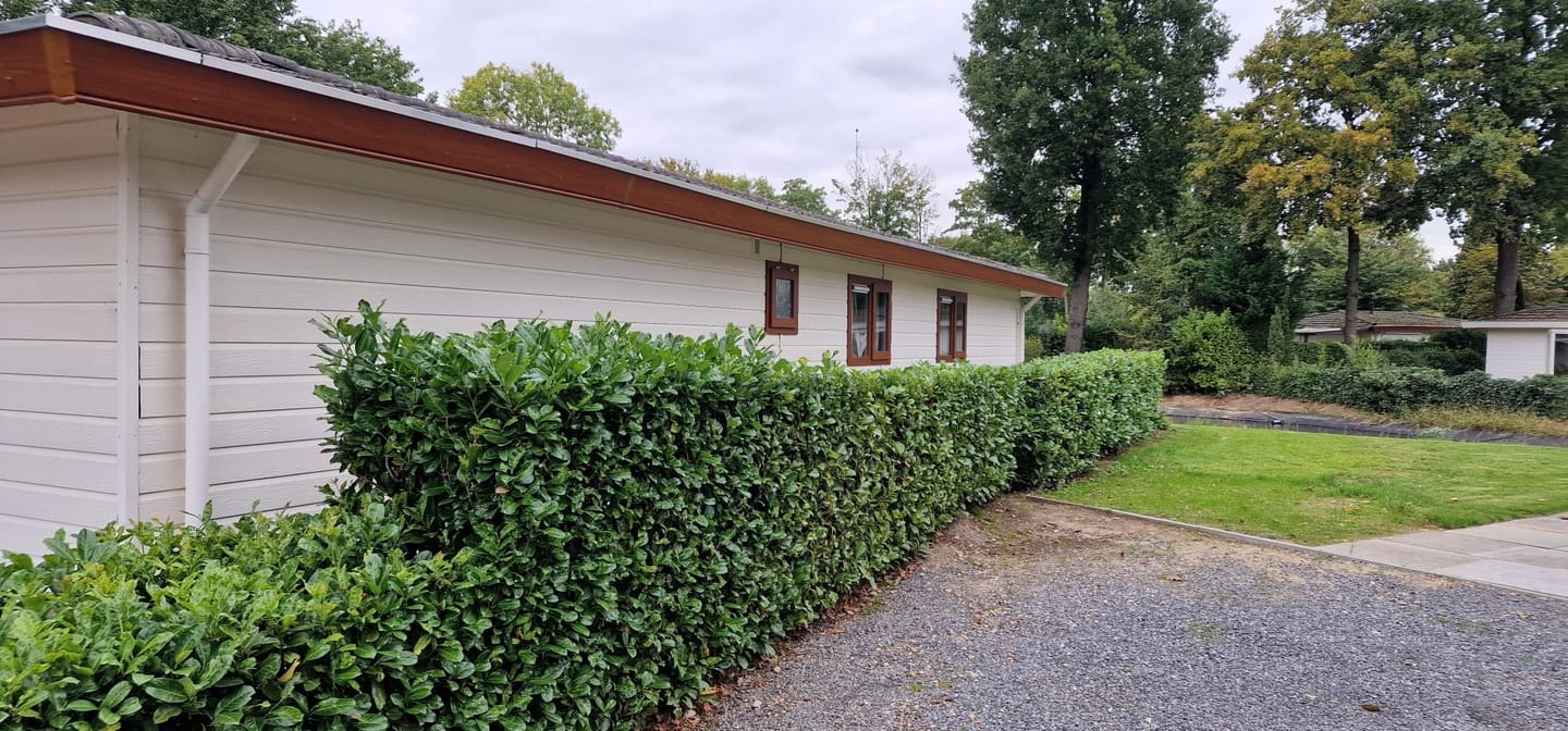 Photo 5 of Hommelweg 2-446