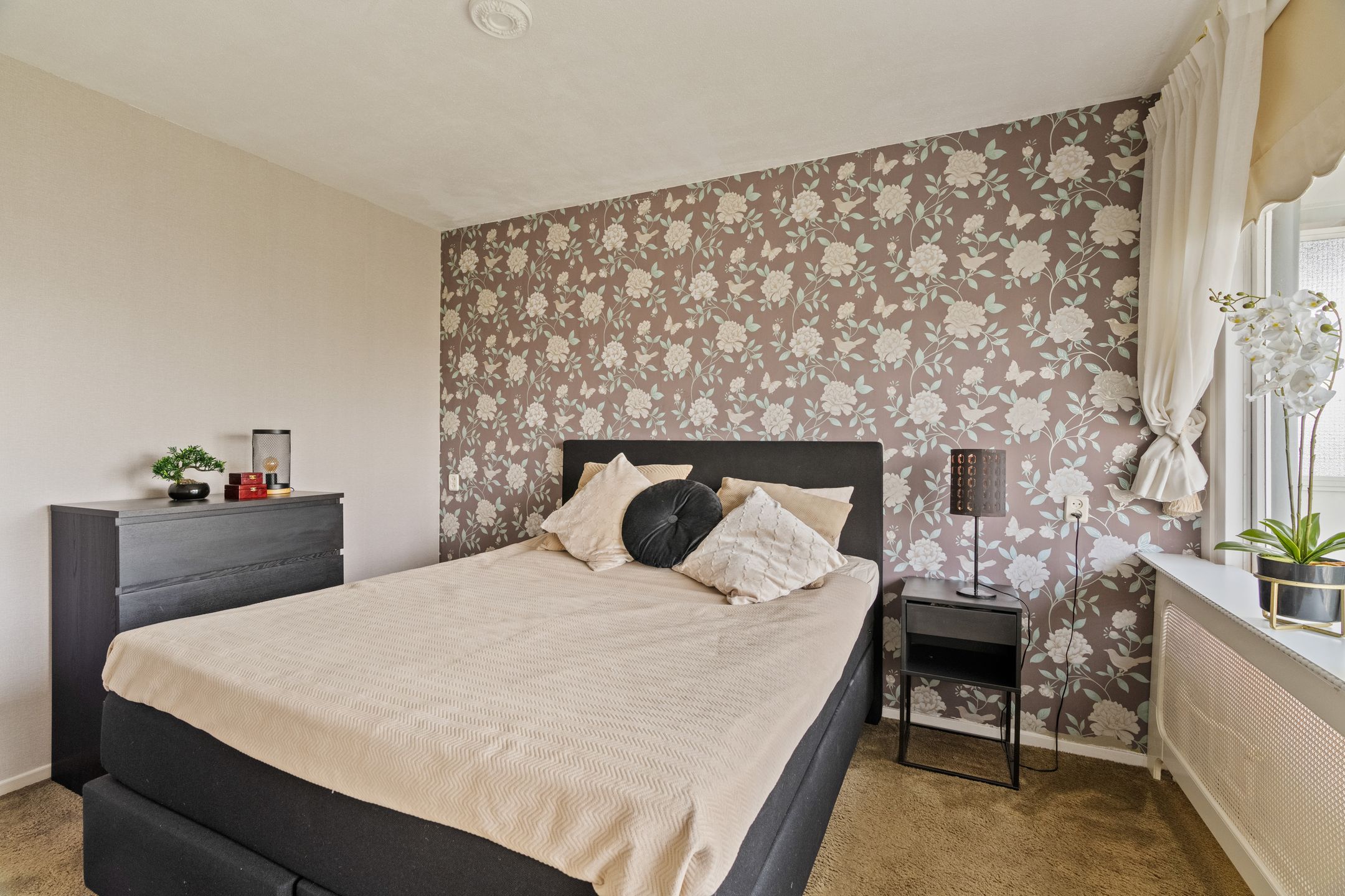 Foto 12 van André Gideplaats 431