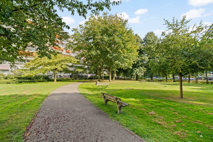 Photo 28 of André Gideplaats 431