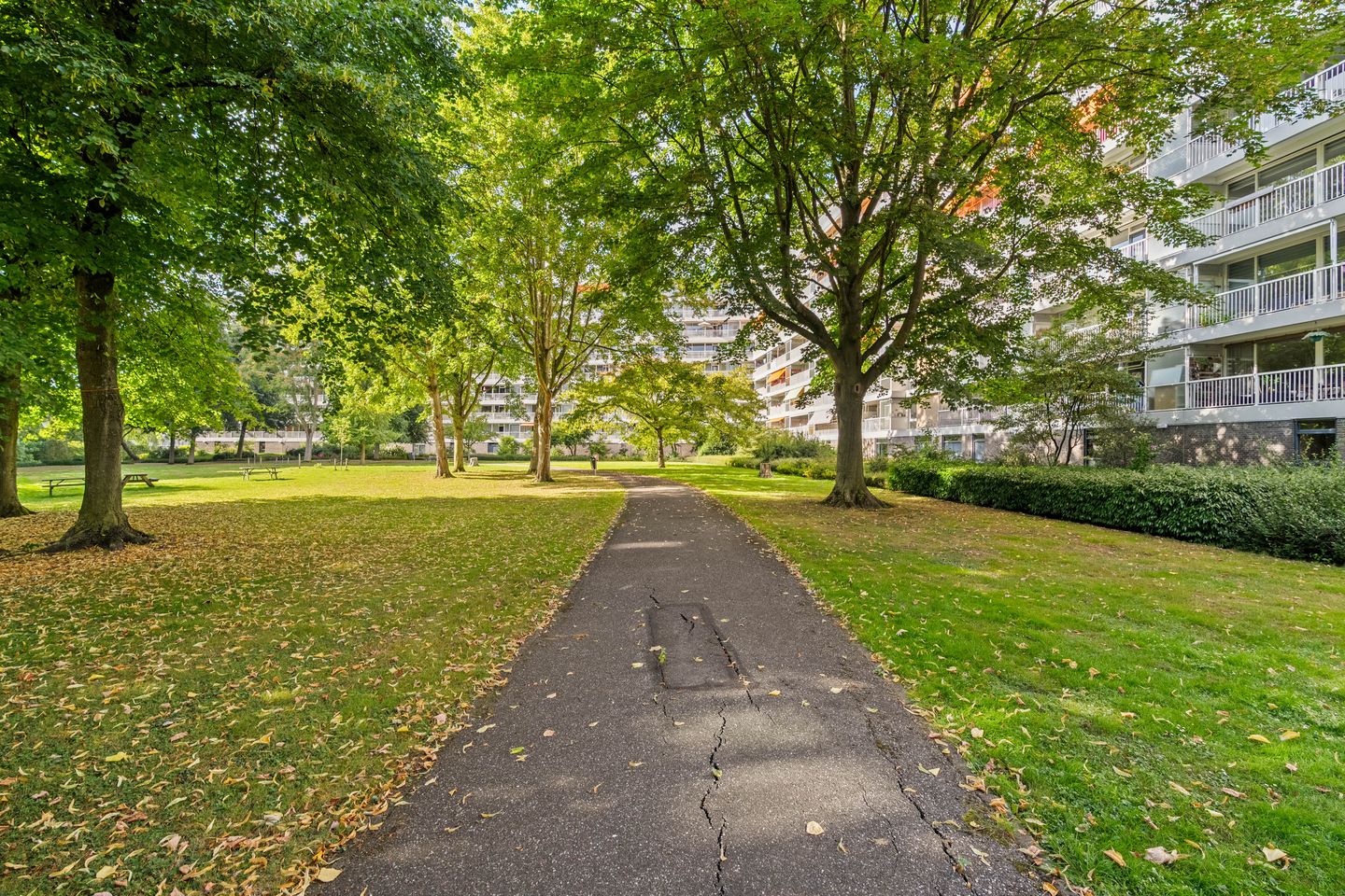 Foto 29 van André Gideplaats 431