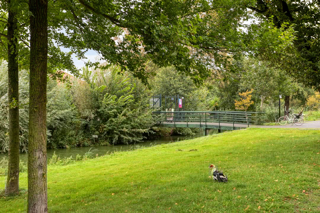 Photo 56 of Luxemburglaan 209