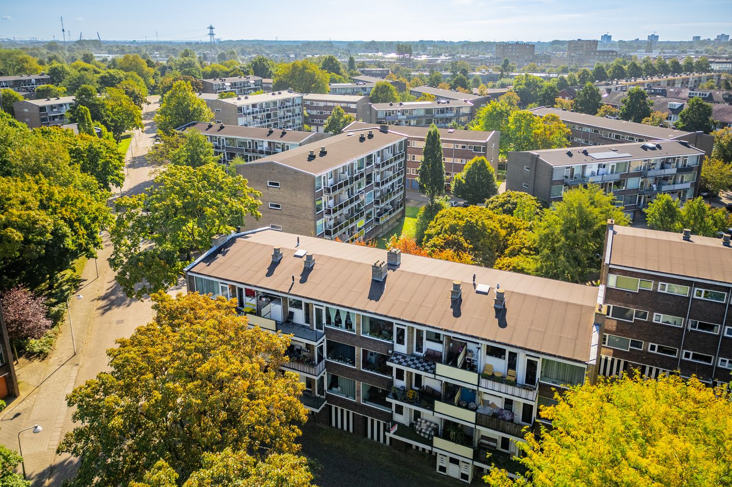 Foto 34 van Julianaplantsoen 26