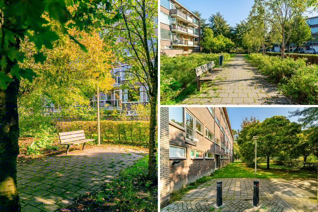 Foto 37 van Julianaplantsoen 26