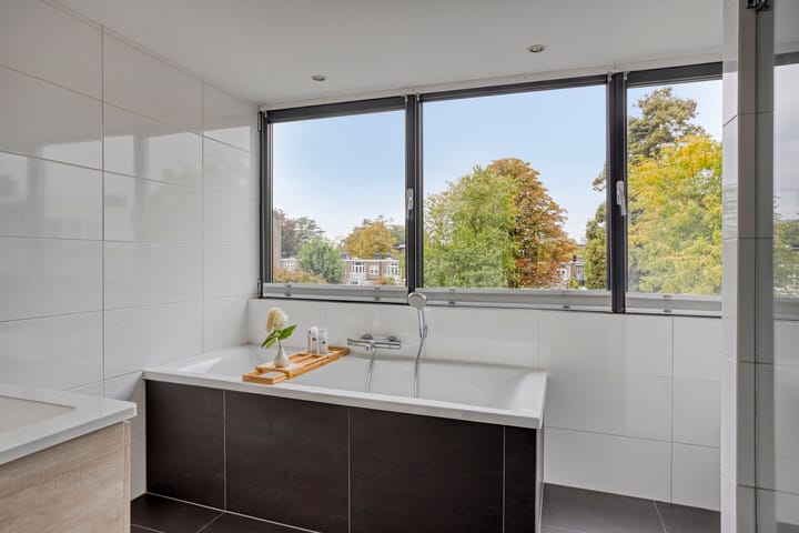 Photo 40 of Jacob van Maerlantlaan 4