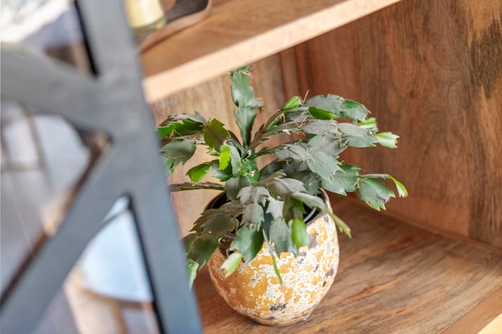 Foto 18 van Overste J M Kolffstraat 147