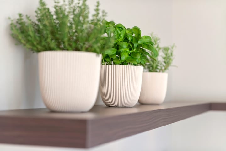 Foto 24 van Overste J M Kolffstraat 147