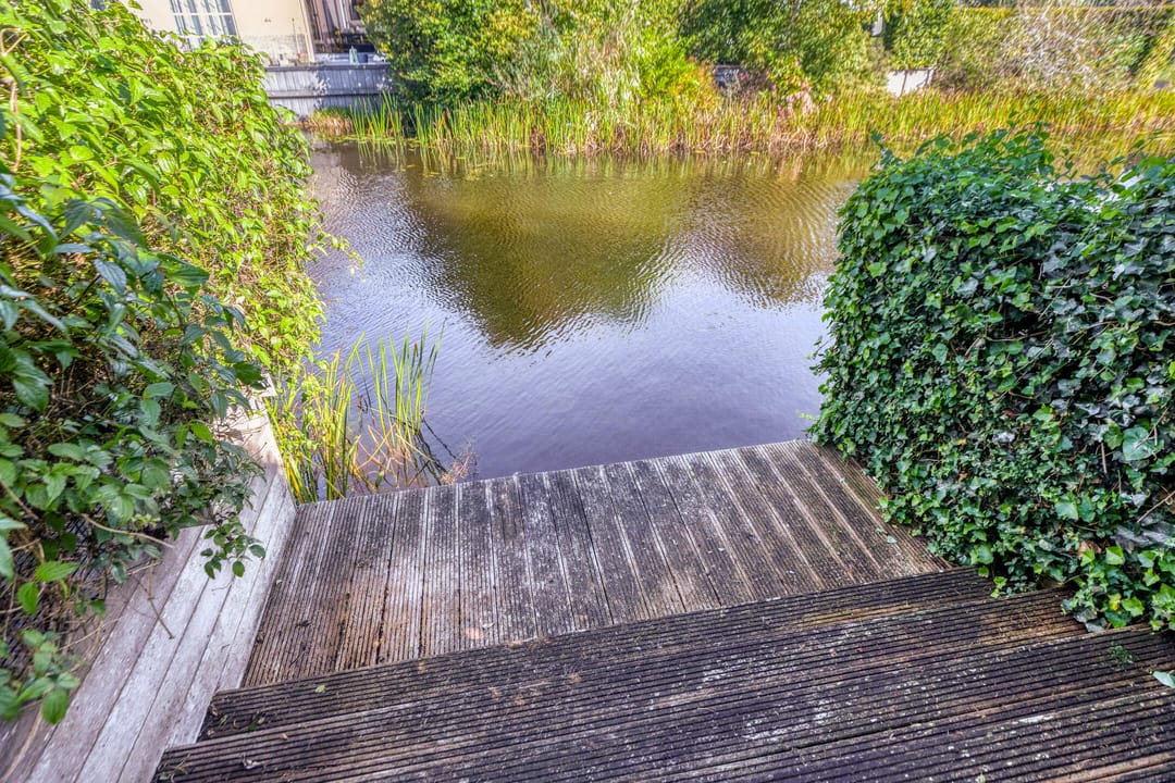 Foto 32 van Heideblauwtje 11