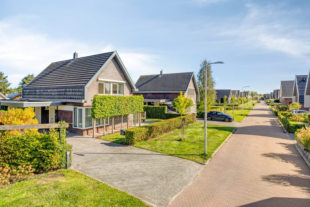 Foto 38 van Heideblauwtje 11