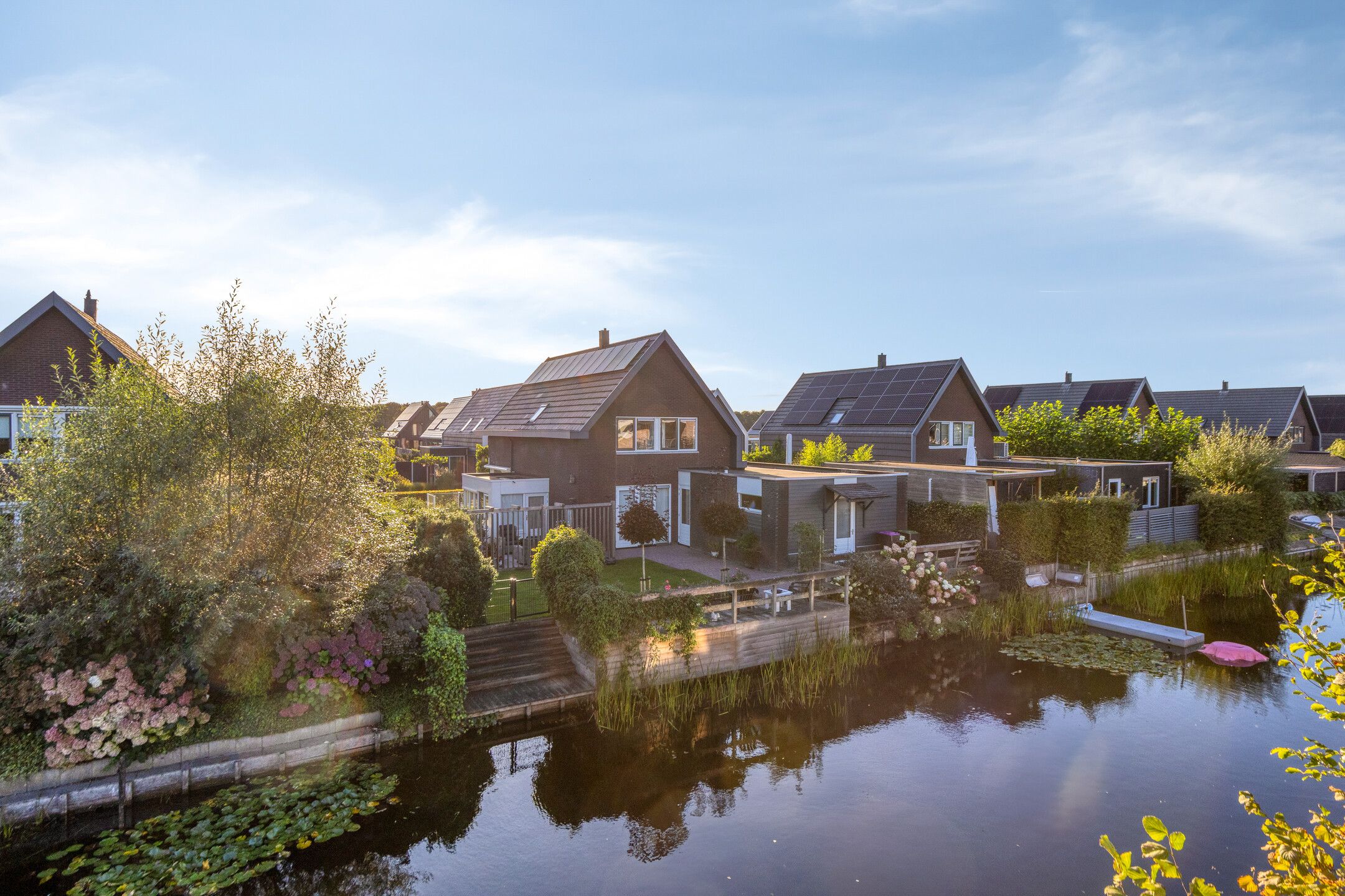 Foto 39 van Heideblauwtje 11