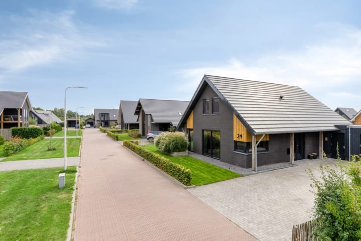 Foto 52 van Heideblauwtje 24