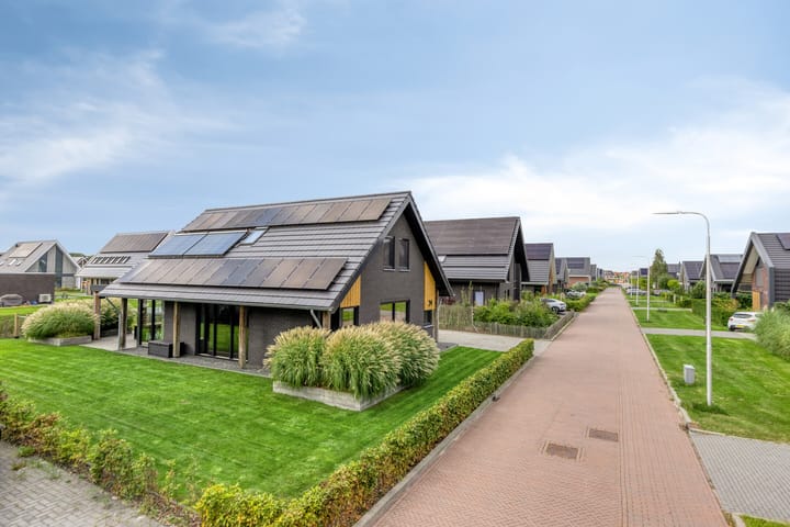 Foto 53 van Heideblauwtje 24