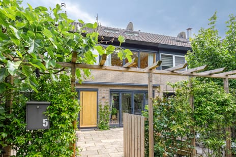 Ruysdaellaan thumbnail