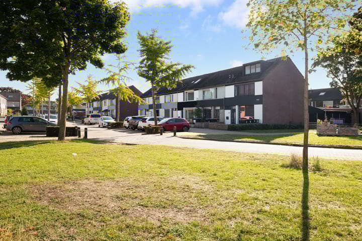 Foto 5 van Topaas 20