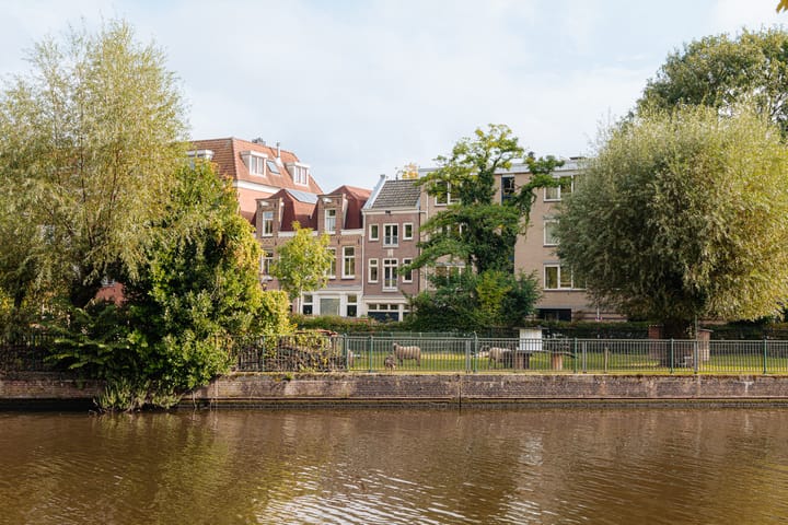 Schimmelstraat 55 main image