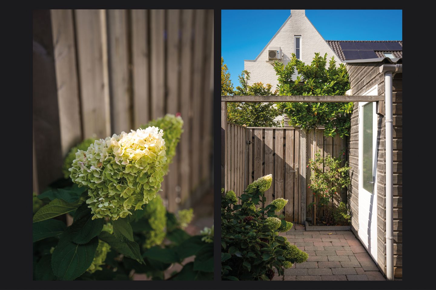 Photo 29 of Meester N J van Riemsdijkstraat 18