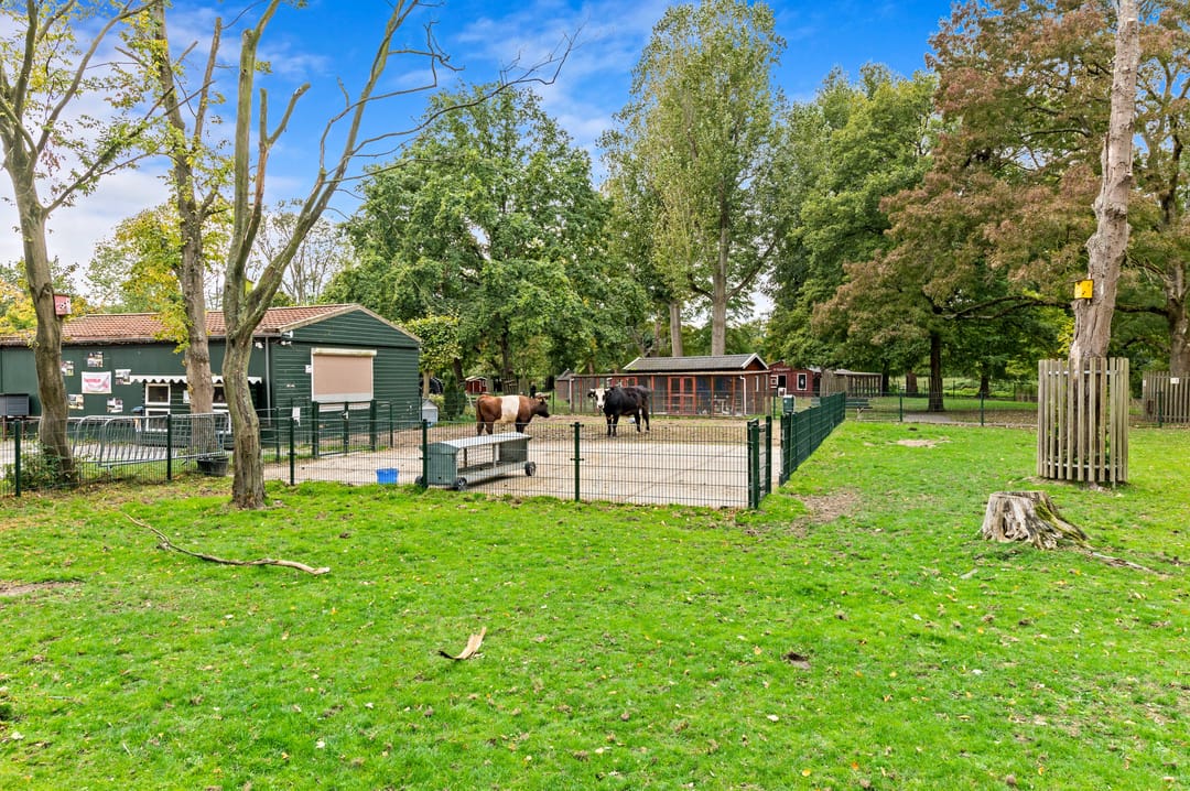 Foto 32 van Schiedamseweg 118