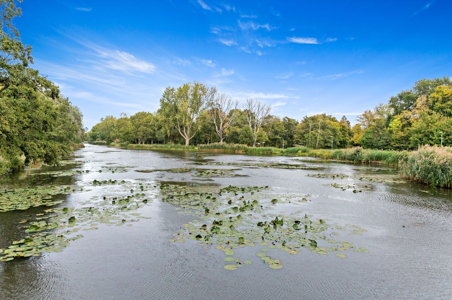 Foto 34 van Schiedamseweg 118