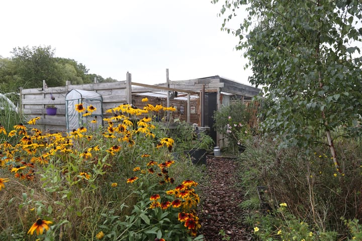 Foto 53 van Medwert 2