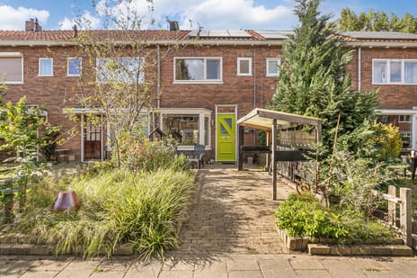 undefined main image