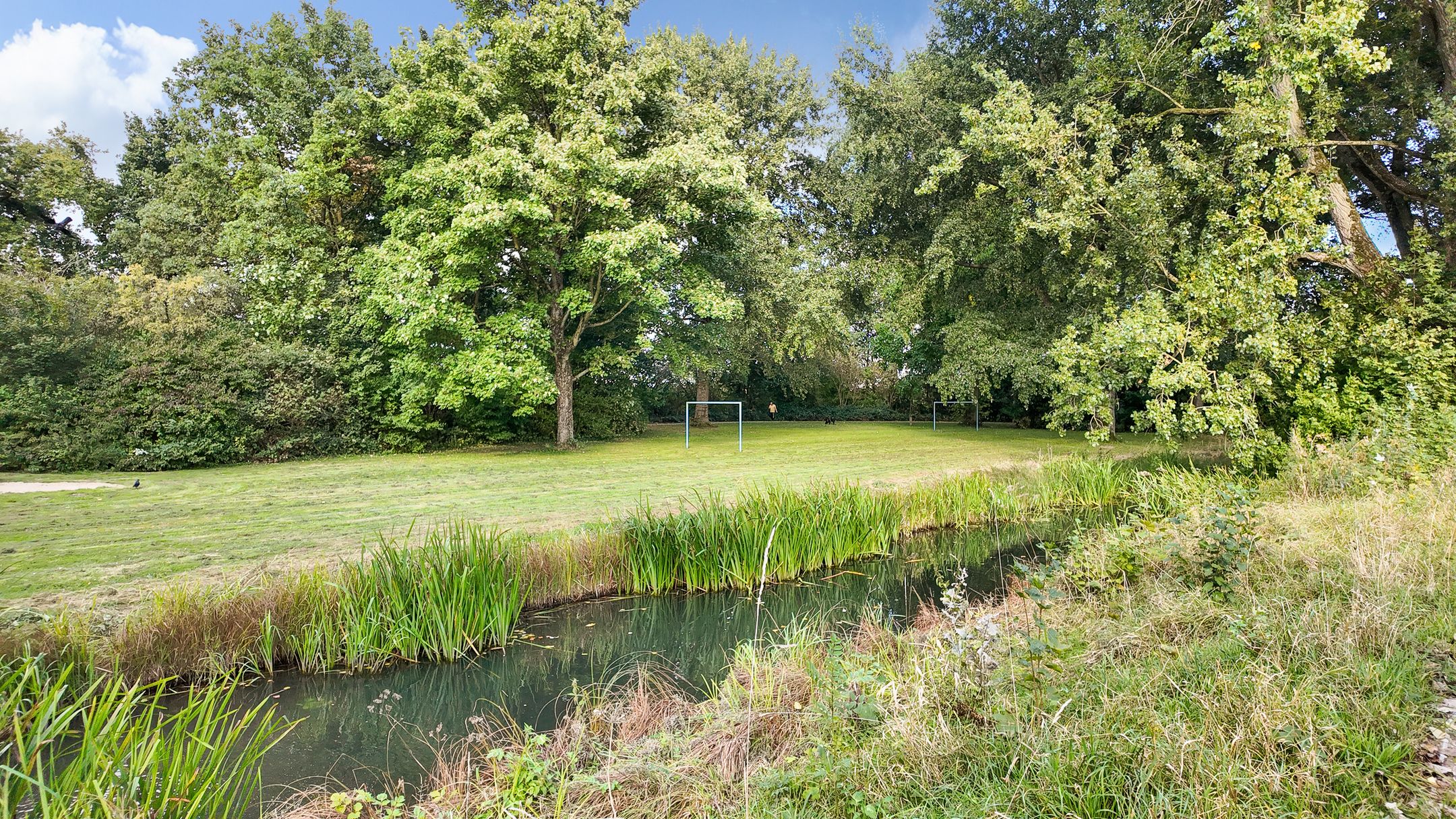 Foto 36 van Haagdoornstraat 16