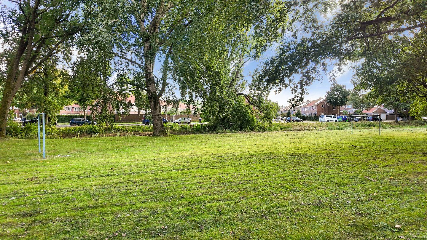 Foto 40 van Haagdoornstraat 16