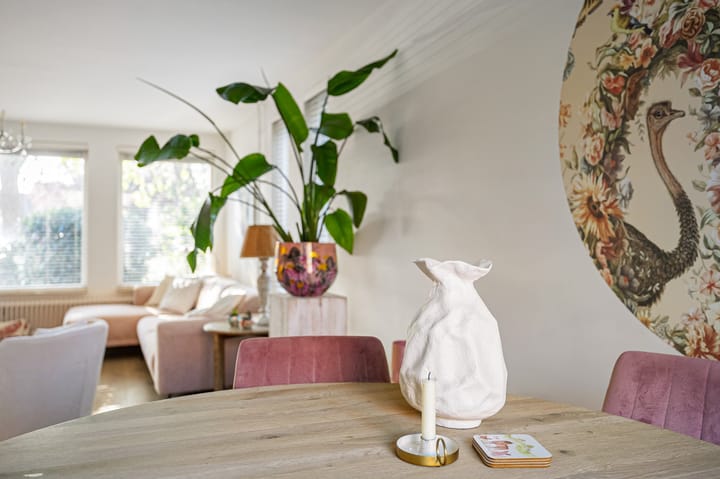 Foto 19 van Allingawier 38