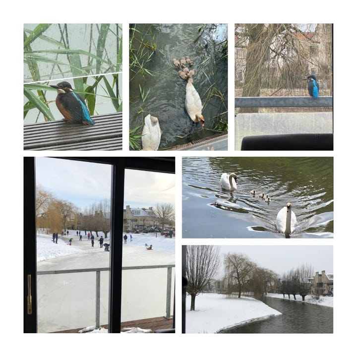 Foto 53 van Visven 351