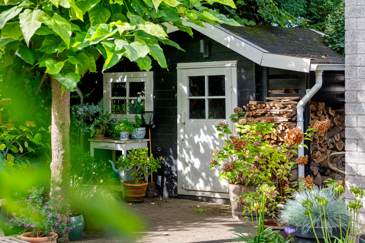 Foto 44 van Ringmuur 10