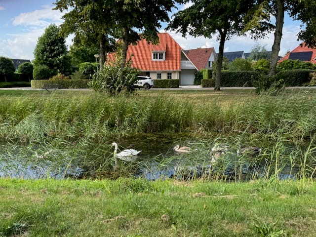 Foto 9 van Meulenhörn 38