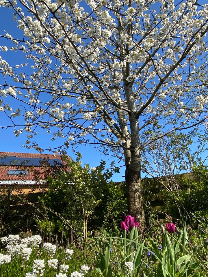 Photo 42 of Meulenhörn 38