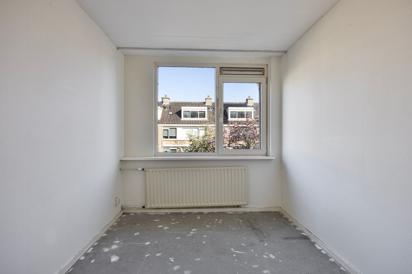 Photo 29 of Gelebrem 38