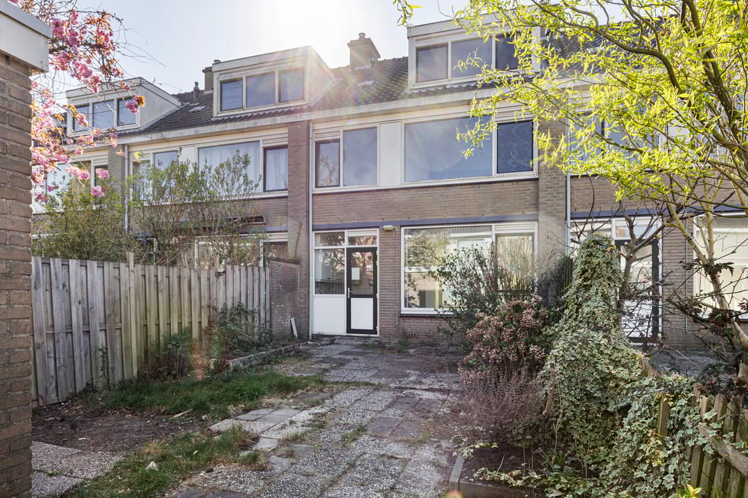 Photo 37 of Gelebrem 38