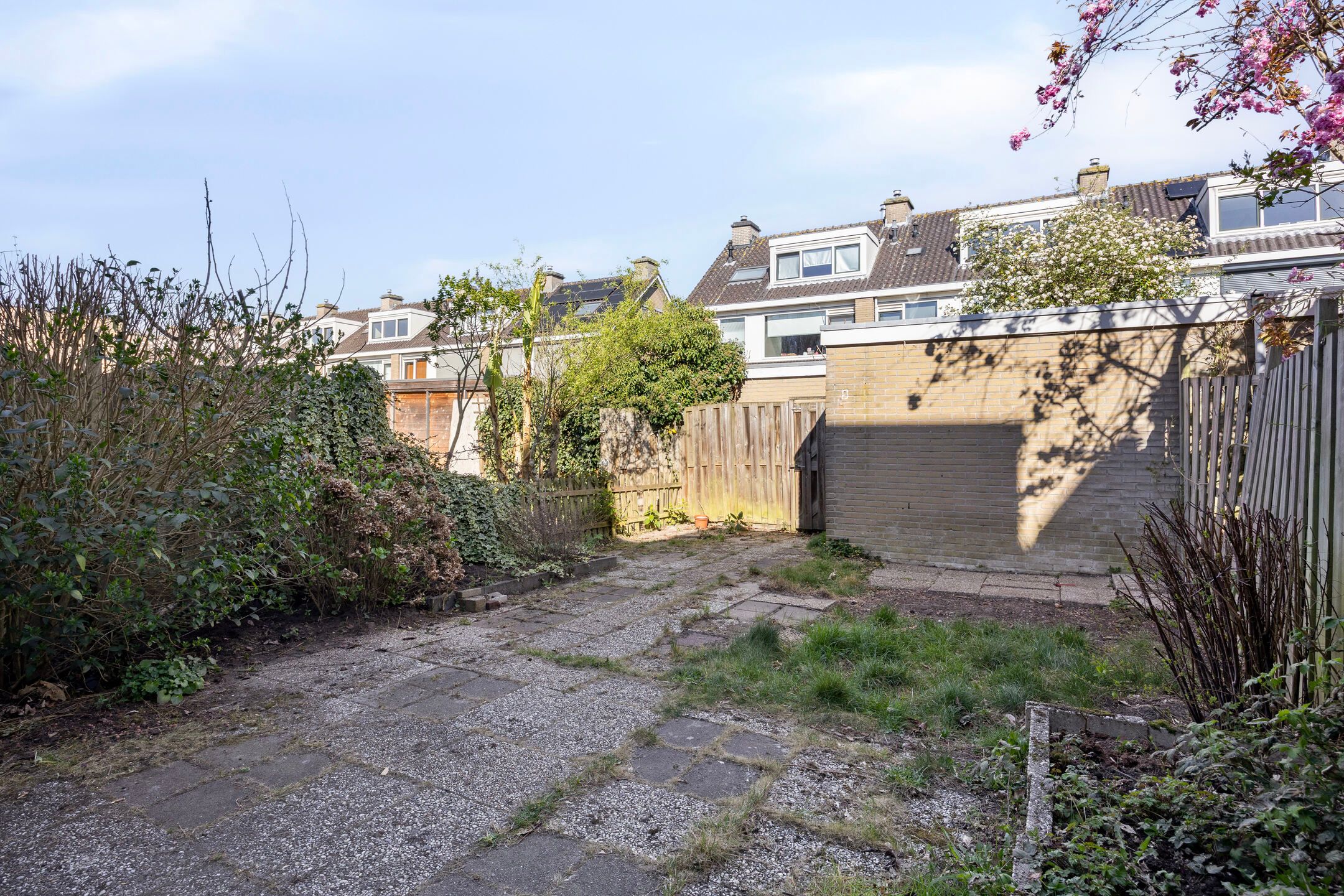 Photo 39 of Gelebrem 38