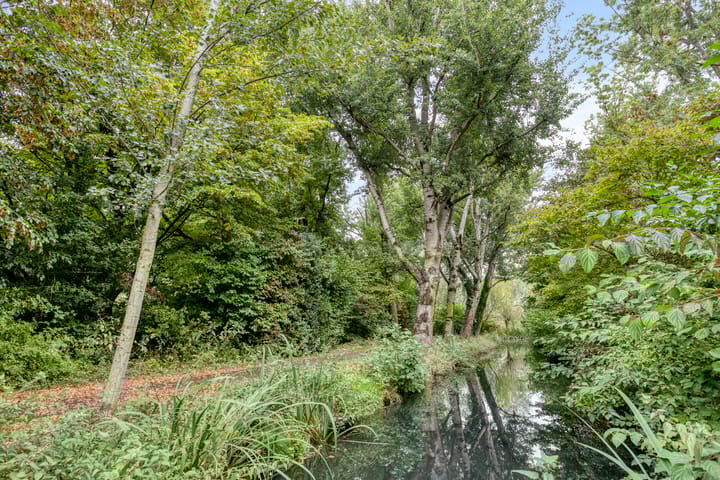 Foto 33 van Waalstraat 41