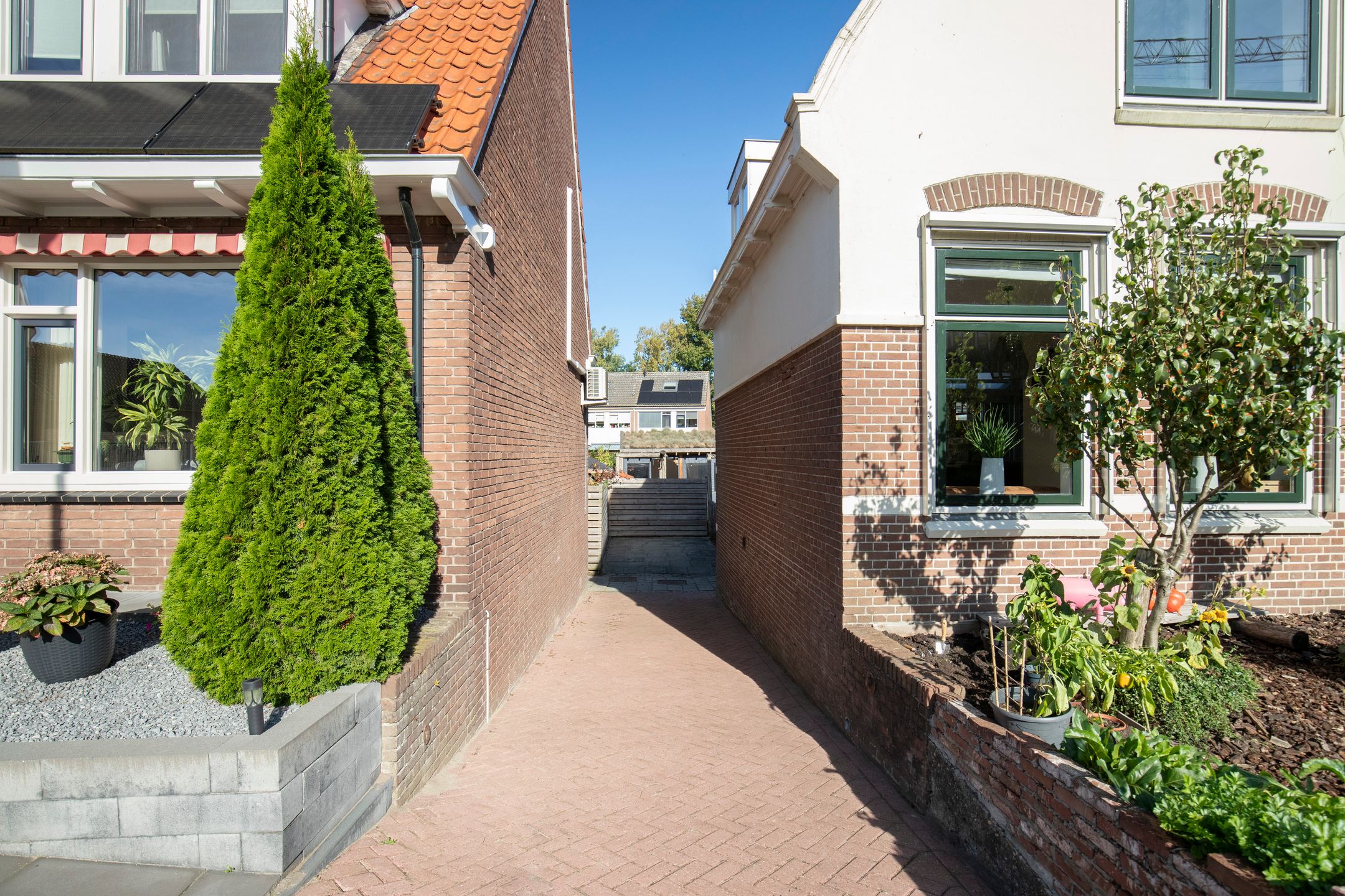 Foto 9 van Zomerdijk 53