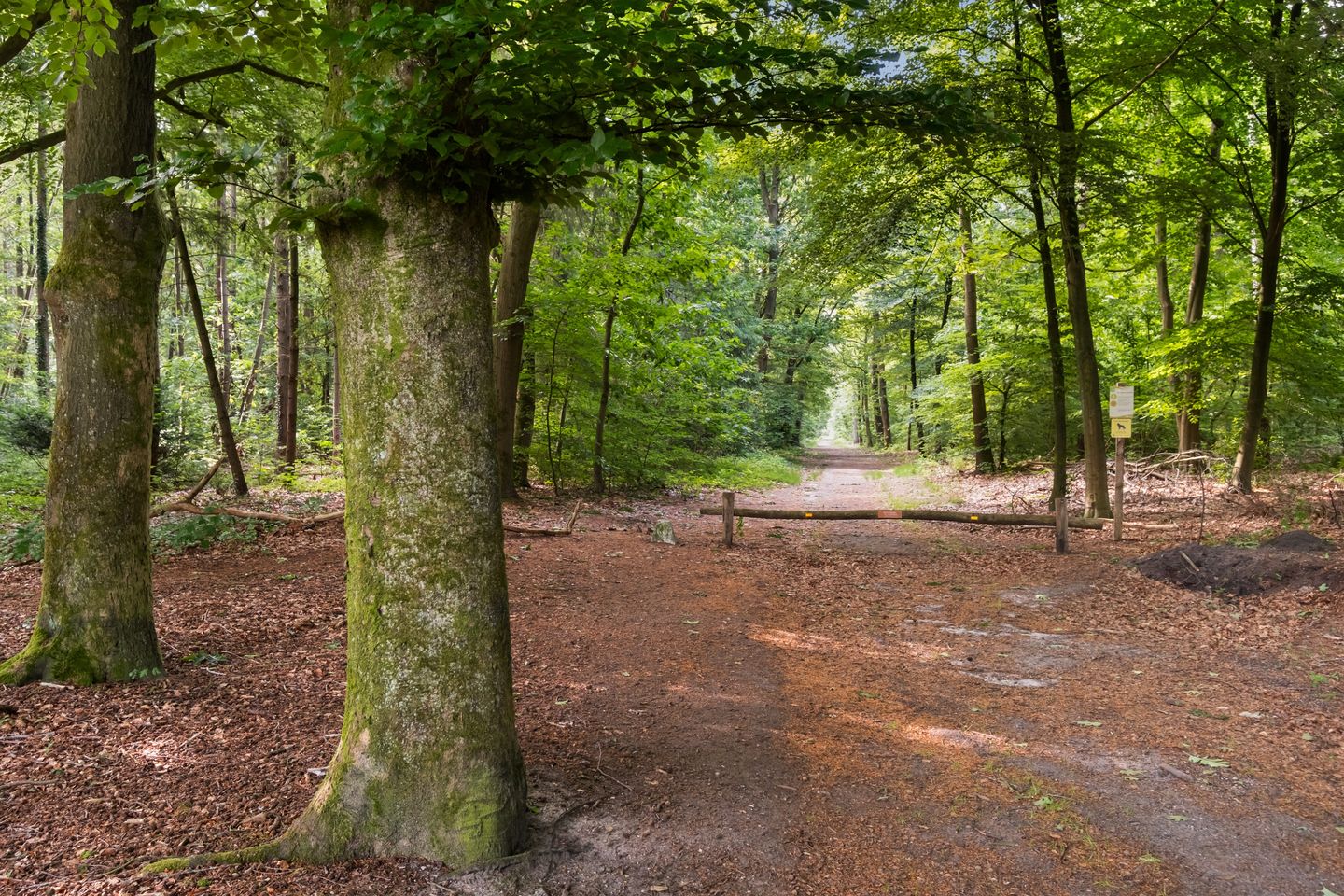 Foto 49 van Waterlooweg 53