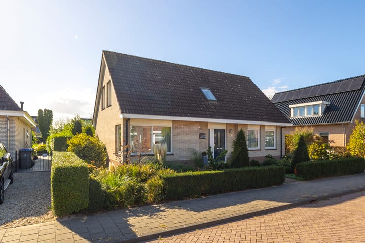 Doetse Vliet 8 main image