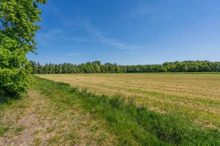 Foto 61 van Asserstraat 208