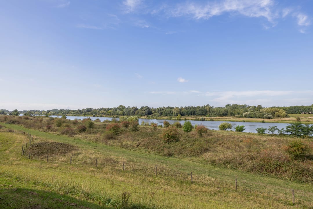 Foto 17 van Watermunt 100