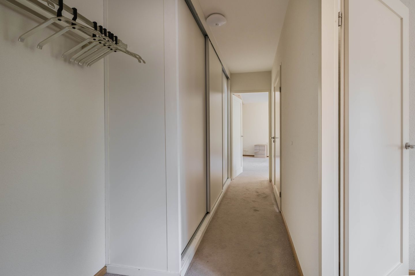 Foto 20 van Watermunt 100